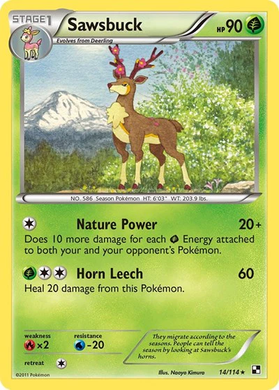 BLW: Sawsbuck