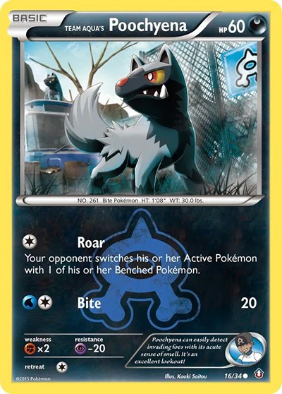 DCR: Team Aqua's Poochyena (Reverse Holofoil)
