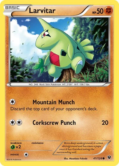 FCO: Larvitar (41)