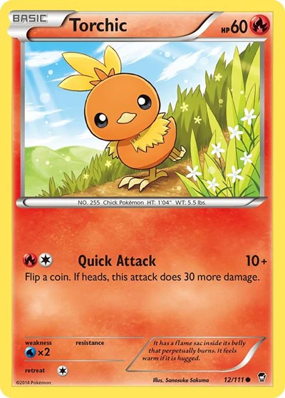 FFI: Torchic