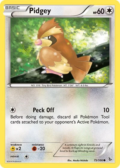 FLF: Pidgey