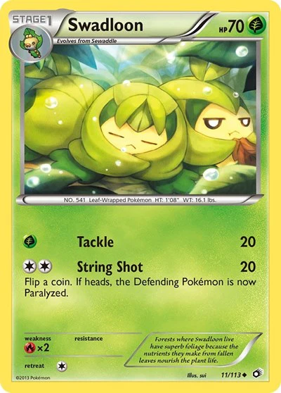 LTR: Swadloon