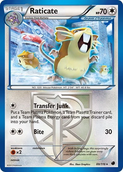 PLF: Raticate (Team Plasma) (Reverse Holofoil)