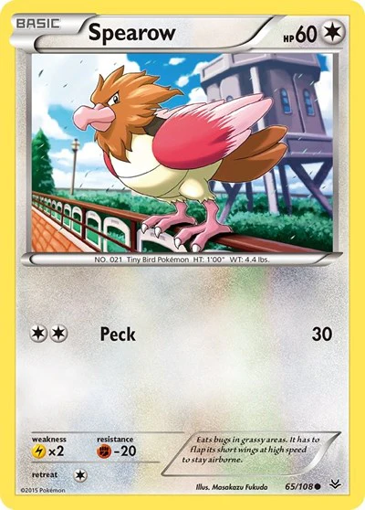 ROS: Spearow