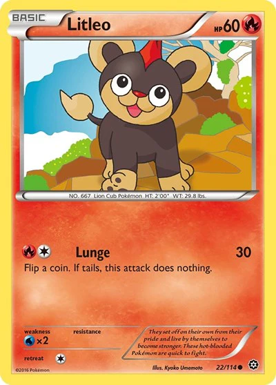 STS: Litleo