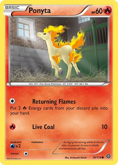 STS: Ponyta